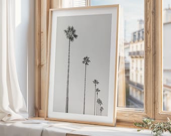 Palm Trees Print | Tropical Wall Art | Coastal Home Decor | Boho Photo Artwork | Black and White Photography | California Hawaii Ocean Art