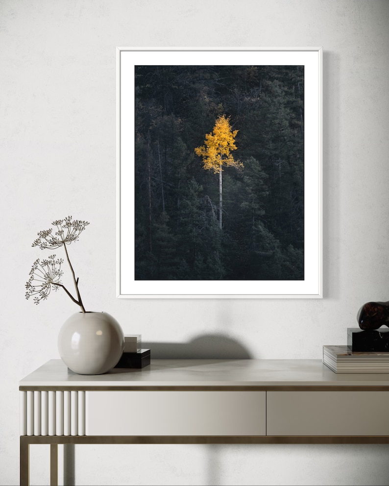 May include: A single yellow tree stands out against a dark green forest background. The tree is in the center of the image and is surrounded by other trees. The image is taken from a high angle.