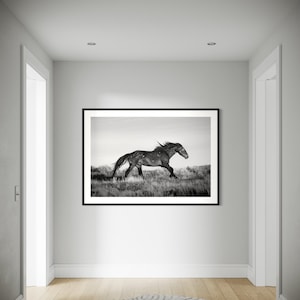 May include: Black and white photograph of a horse running through a field. The horse is in the center of the image and is facing to the right. The horse is in motion and its mane is flowing in the wind. The background is a field of grass.
