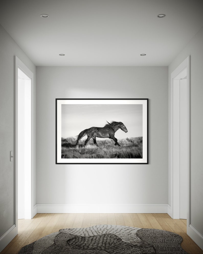 May include: Black and white photograph of a horse running through a field. The horse is in the center of the image and is facing to the right. The horse is in motion and its mane is flowing in the wind. The background is a field of grass.