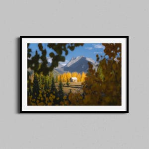 Colorado Autumn Print, Cozy Cabin Wall Art, Aspen Trees, Rocky Mountains Farmhouse Photo, Country Decor, Landscape Fall Photography Artwork