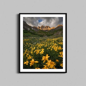 Colorado Wildflowers Wall Art | Mountains Photo Print | Farmhouse Home Decor | Framed Landscape Photography, Spring Flowers Entryway Artwork