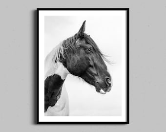 Horse Wall Art, Equestrian Decor, Ranch Photo Fine Art Print, Western Artwork, Black and White Photograph, Cowboy Farmhouse Framed Photo