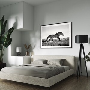 May include: A black and white photograph of a horse running through a field, framed and hanging on a white wall above a bed in a bedroom. A black floor lamp with a black lampshade stands next to a potted plant in the corner of the room.