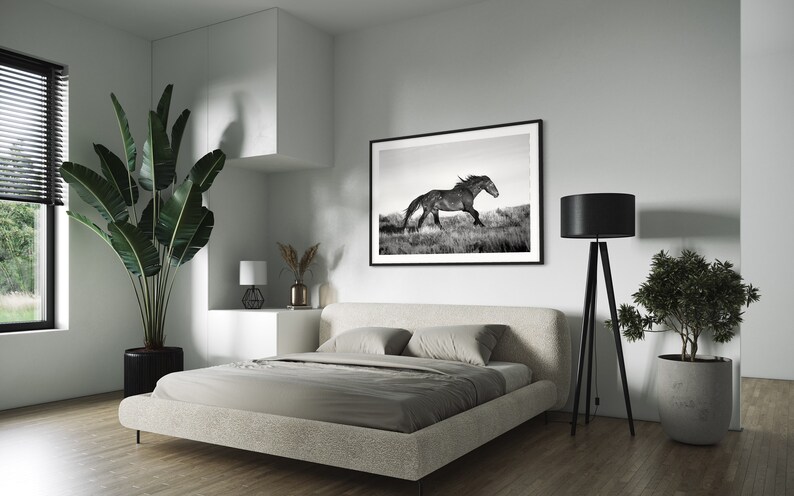 May include: A black and white photograph of a horse running through a field, framed and hanging on a white wall above a bed in a bedroom. A black floor lamp with a black lampshade stands next to a potted plant in the corner of the room.