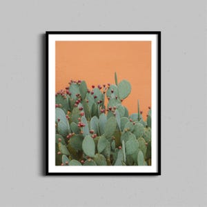 Puede incluir: Primer plano de una planta de chumbera con almohadillas verdes y frutos rojos contra una pared de color melocotón.