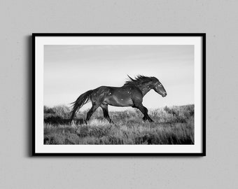 Horse Wall Art, Black and White Photograph, Equestrian Decor, Farmhouse Home Decor, Fine Art Print, Running Horses, Western & Cowboy Artwork
