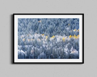 Winter Forest Wall Art | Snowy Winter Landscape | Nature Photography Print | Neutral Fall Aspen Trees | Farmhouse Home Decor | Framed Photo