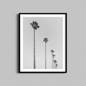 Palmen Wandkunst | Tropischer Fotodruck | Küsten Wohnkultur | Boho Kunstwerk | Schwarz-Weiß-Fotografie | Kalifornien Hawaii Ocean Art