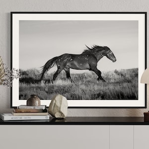 May include: Black and white photograph of a wild horse running through a field of tall grass.