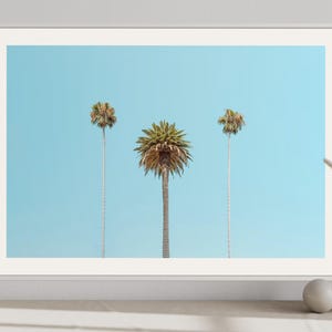 Palmen Poster | Küsten Wohnkultur | Tropische Wandkunst | Strandhaus Kunstwerk | Boho Küstenfotografie | Gerahmte Hawaii Ocean Fotokunst