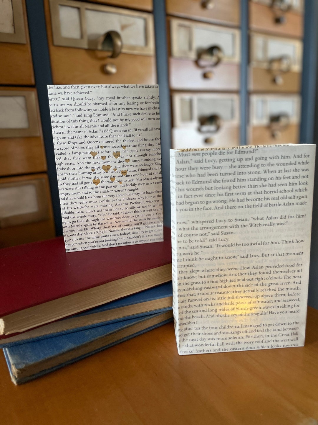 Book Page Luminaries Paper Lanterns Book Bag Wedding Decor Book Theme