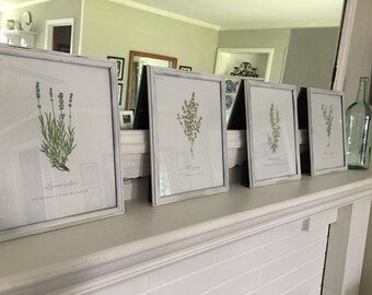 Framed Botanical Prints - Set of 4