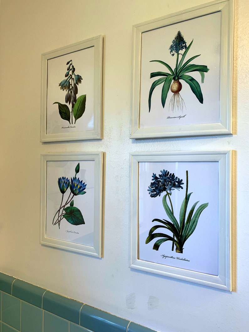 Framed Set Of 4 Blue Botanical Print Set Redoute Botanical Etsy