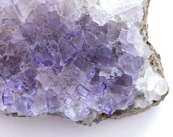 Large .5 lb Violet Cubic Fluorite Cluster- Last one of this size left! Hand selected for form and beauty- must see! 230g/ .5 lb.