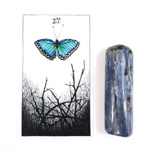 May include: A black and white illustration of a butterfly with blue wings, set against a background of black branches. The card is numbered "XXI".