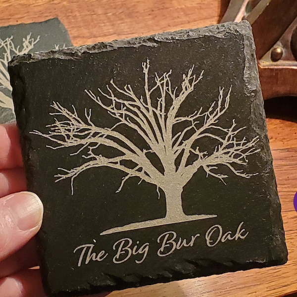 The Big Bur Oak Coasters : Champion Burr Oak, The Big Tree, McBaine, Missouri (6 Designs)