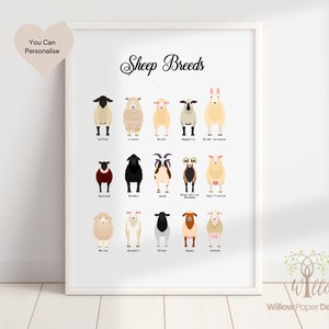Sheep Breeds Print, Sheep Types Print, Sheep Art Print, Sheep Poster, Gift for Vet, Gift For Farmers, Sheep Illustrations, Sheep Drawing.