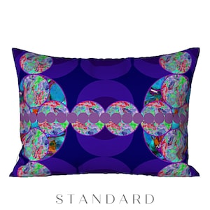 Colorful Sham Abstract Art Unique Artistic Boho Retro Bedding Luxury Bold Designer Pillow Cover Home Decor Bold Artsy Printed Elegant Gift
