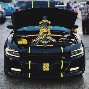 30" fighting hornet Hood Prop for Car Show Parade, Metal Artwork Car Parade Prop Signs, Homemade Handmade Car Crafts