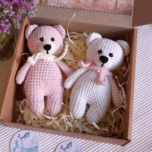 Twin gift box girls, twin stuffed teddy bears girls, congrats twins, newborn twin soft toy, pregnancy twin announcement, twins baby shower
