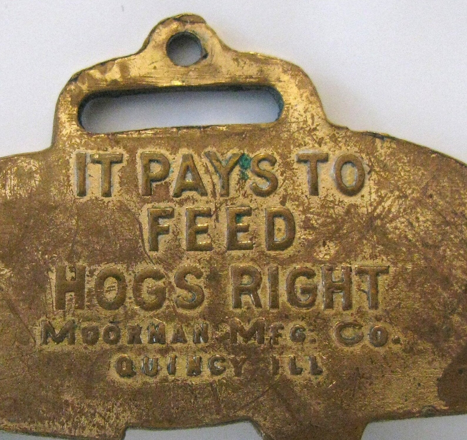Moorman's Manufacturing Feed Company Figural Hog Pig It Pays to Feed