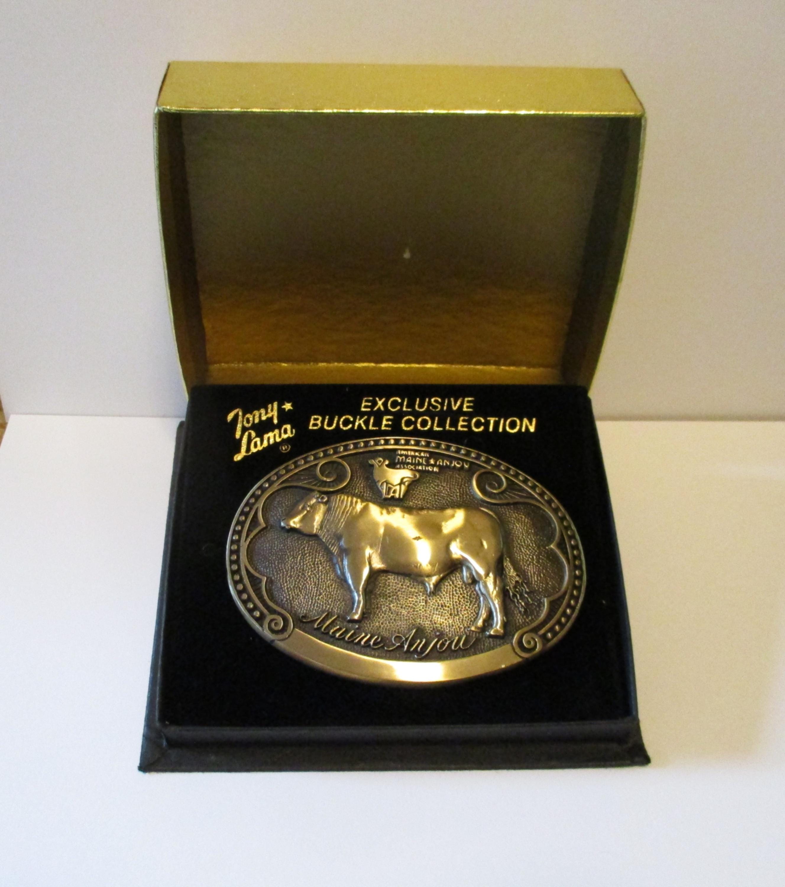 Tony Lama Belt and Buckle Tony Lama Women main image 3
