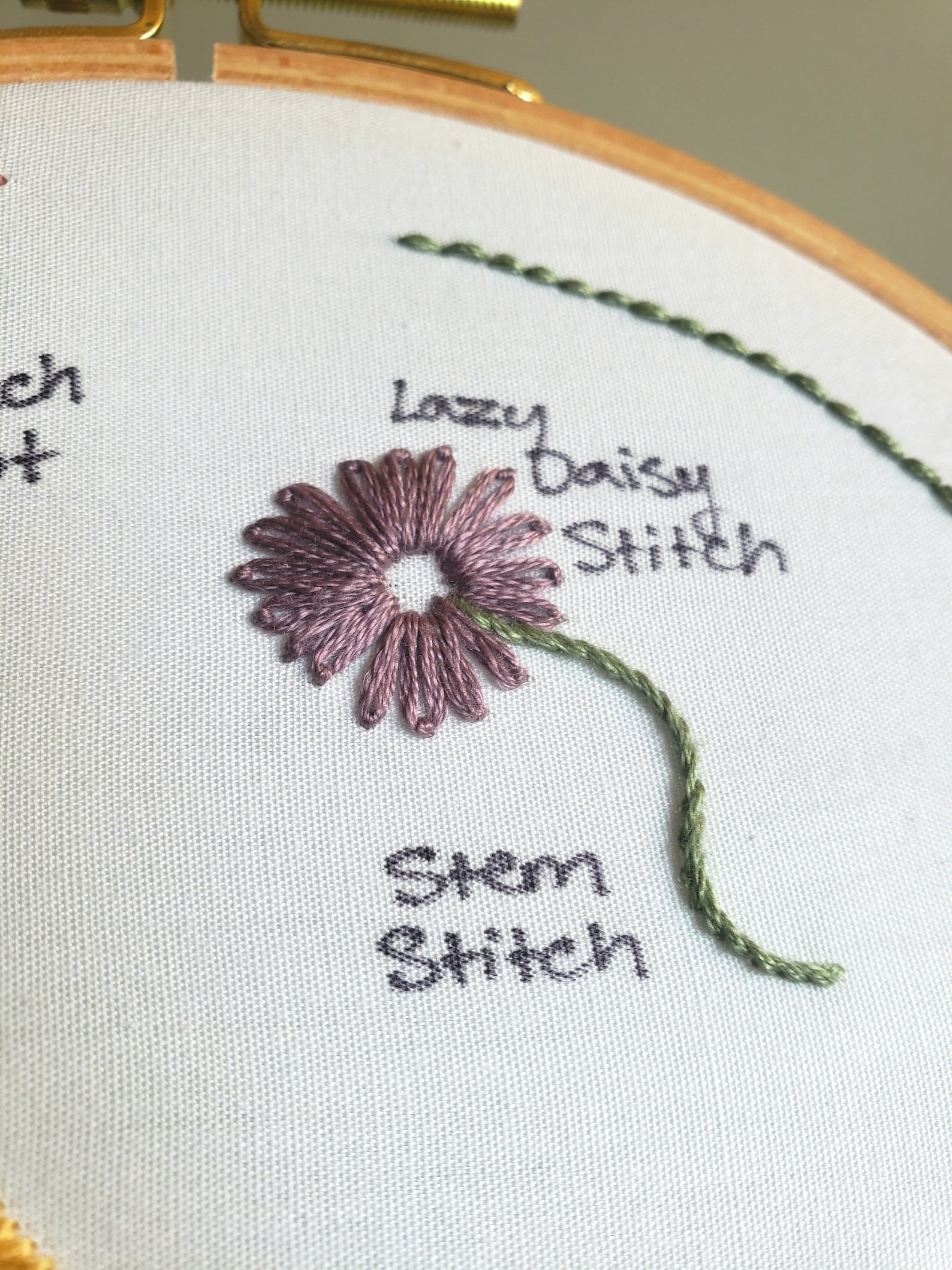 Beginner Embroidery Stitches Sampler Pattern Learn 10 Basic Stitches
