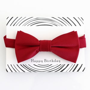 Demande de bague de nœud papillon rouge Cadeau d’anniversaire, Arc adulte pour enfants, Pré-noué réglable de haute qualité, Faveur de fête pour enfants, Nœud papillon rouge pour tout-petit