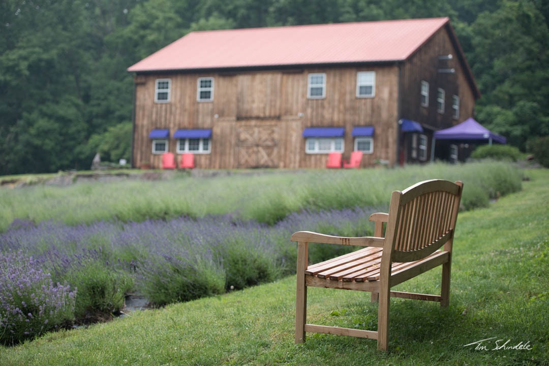 A Place for Reflecting Peace Valley Park Bucks County Etsy