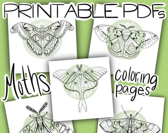 Moths -Printable Coloring Pages, 5pk.