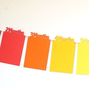 12 Month Rainbow Photo Banner / Free Shipping / Birthday Banner / First Birthday Photo Banner / Monthly Photo Banner / First Year Banner
