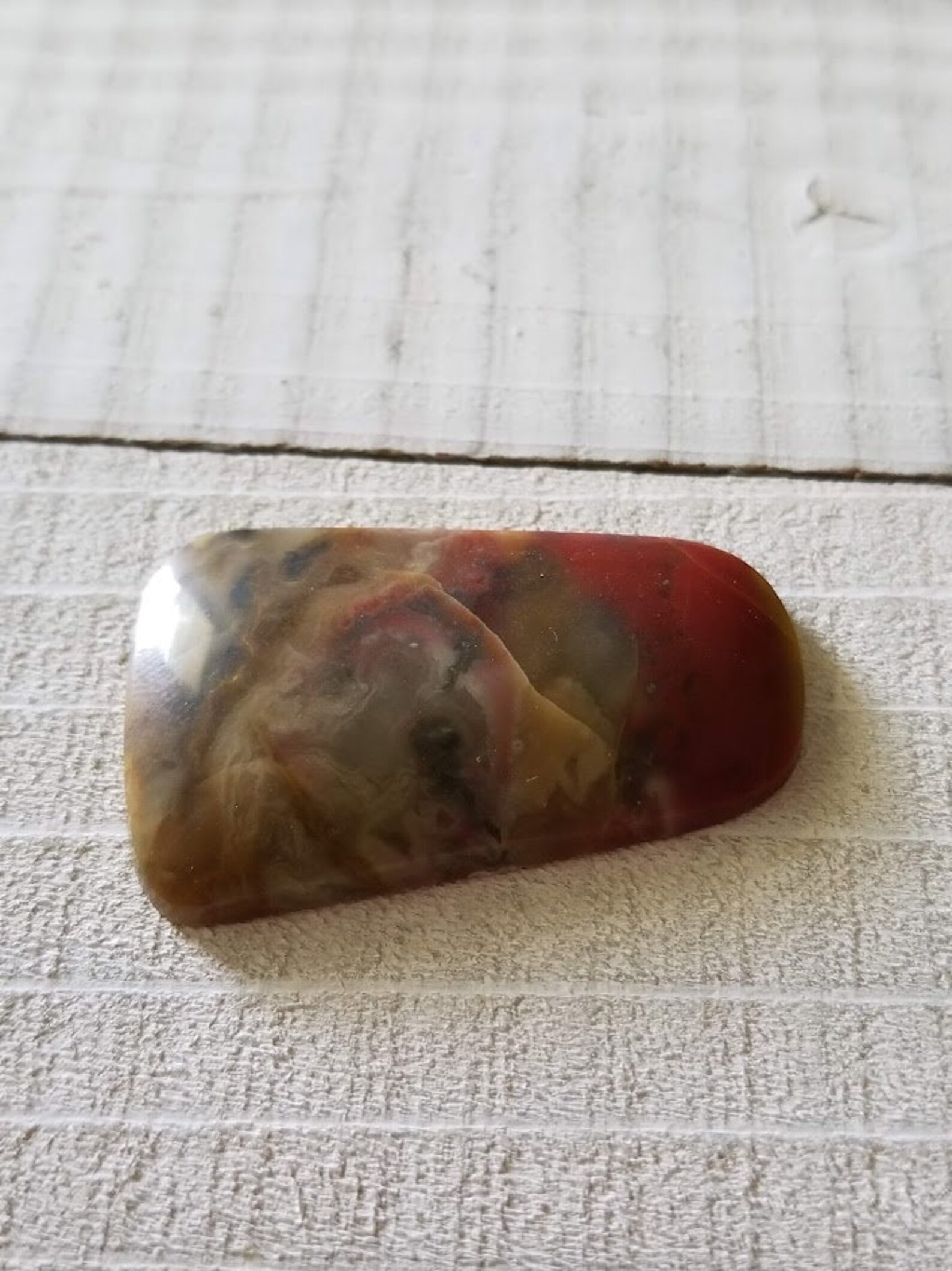 Coprolite Dinosaur Fossil Agatized Poop | Etsy