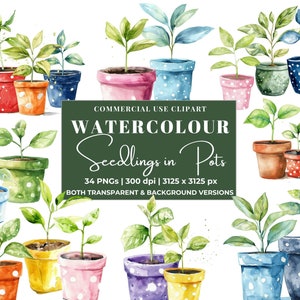 Aquarell Topfpflanze Clipart Bundle, bunte Töpfe Ideal für Lehrer Geschenke & Karten, sofortiger digitaler Download, kommerzielle Nutzung PNG