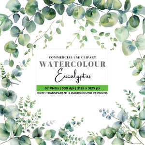 67 Clipart eucalyptus aquarelle, verdure des cliparts, des cliparts feuillage, Eucalyptus mariage inviter des cliparts aquarelle PNG, haute qualité 300 DPI