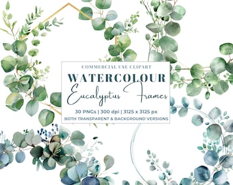 30 PNG acquerello eucalipto cornici Clipart Bundle, matrimonio verde foglia verde ghirlande scaricabili Clipart matrimonio invito bordi, 300DPI