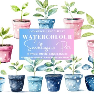 Bundle de cliparts aquarelle plante en pot, pots de couleur rose et bleu idéaux pour les cadeaux et cartes de professeur, téléchargement numérique instantané, usage commercial