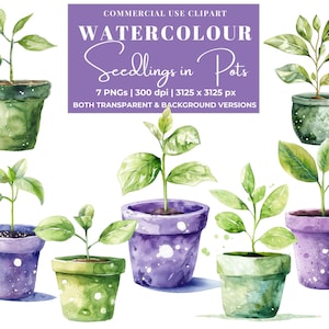 Aquarell Topfpflanze Clipart Bundle, lila und grüne Töpfe ideal für Lehrer Geschenke & Karten, sofortiger digitaler Download, kommerzielle Nutzung