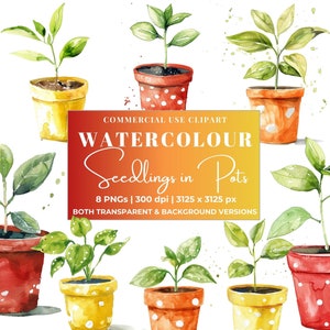Aquarell Topfpflanze Clipart Bundle, rot gelb orange Töpfe ideal für Lehrer Geschenke & Karten, sofortiger digitaler Download, kommerzielle Nutzung