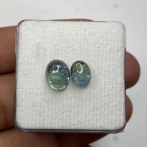 K&ouml;nnte beinhalten: Zwei ovale Edelsteine mit blauen, gr&uuml;nen und schwarzen Einschl&uuml;ssen, pr&auml;sentiert in einer transparenten Kunststoffbox mit wei&szlig;em Innenraum. Die Steine haben ein poliertes, durchscheinendes Aussehen.
