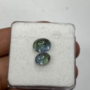 K&ouml;nnte beinhalten: Zwei ovale Edelsteine in einem kleinen, transparenten Kunststoffetui. Die Steine zeigen eine Mischung aus blauen, gr&uuml;nen und schwarzen Farben. Die Edelsteine haben eine polierte Oberfl&auml;che.