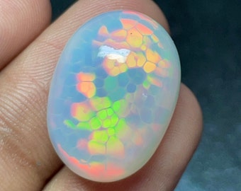 May include: A polished, oval-shaped opal gemstone. The opal displays a white base color with internal iridescence, showcasing a mosaic-like pattern of vibrant colors including orange, green, and yellow. The gemstone is held in a hand, with a dark background.