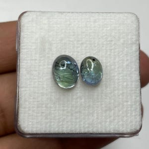 K&ouml;nnte beinhalten: Zwei ovale Edelsteine in einer transparenten Kunststoffbox. Die Steine zeigen eine Mischung aus Blau, Gr&uuml;n und Klar, mit inneren Einschl&uuml;ssen. Die Box steht auf einer wei&szlig;en Oberfl&auml;che. Die Edelsteine sind wahrscheinlich f&uuml;r Schmuck.