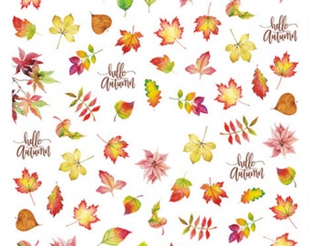 Nail Art Sticker Aufkleber Transfer Winter Herbst Herbst Blumen Floral Blatt Blätter Farn Thanksgiving (348)