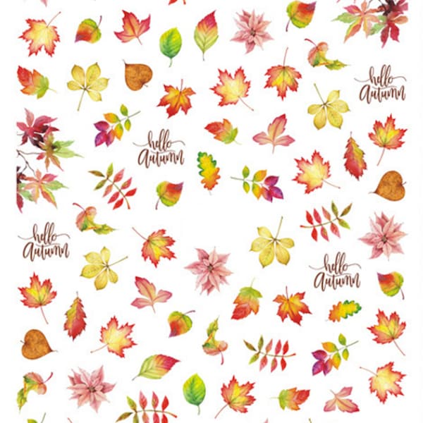 Nail Art Stickers Decals Transfer Winter Autumn Fall Flowers Floral Leaf Leaves Fern Thanksgiving (348)