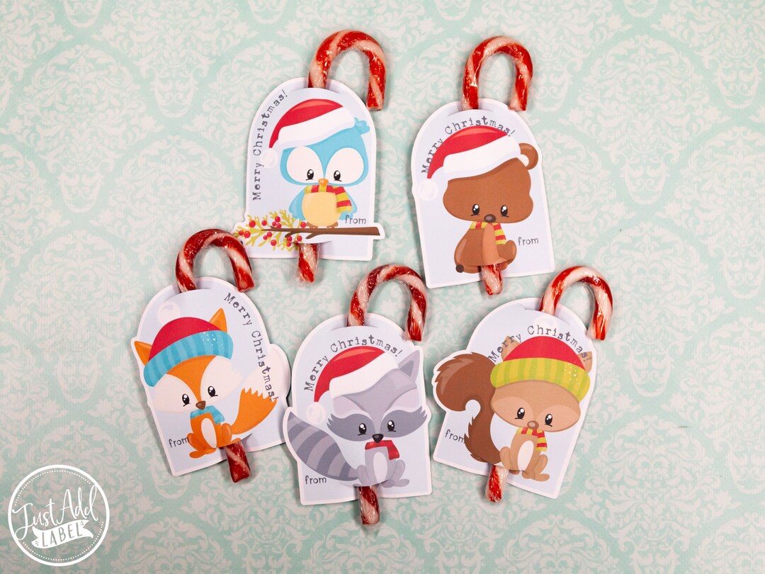 Candy Cane Holder Gift Tag Christmas Gift Stocking Stuffer Ready to