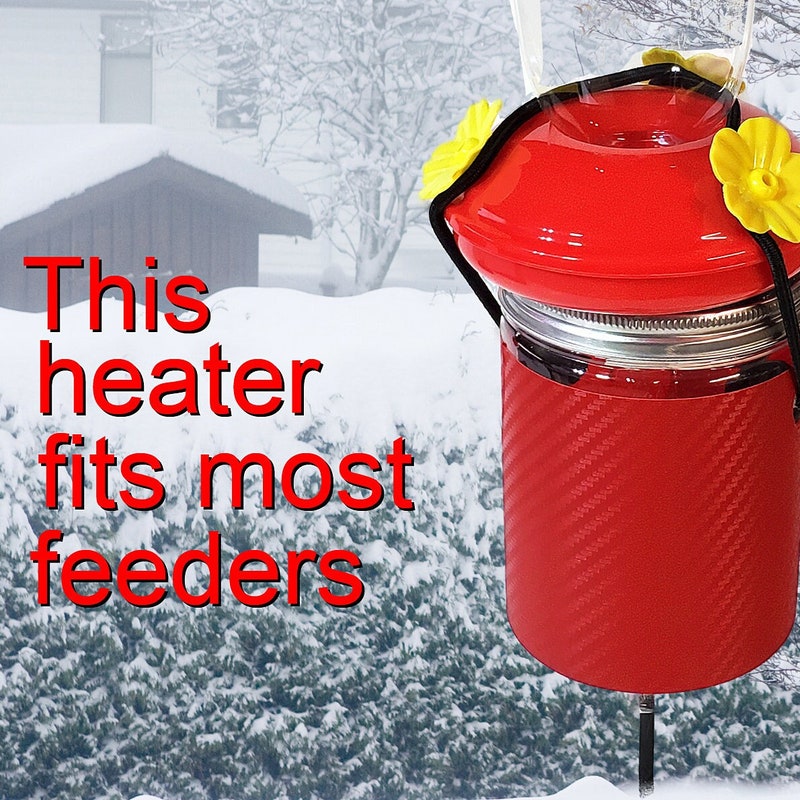 Hummingbird Feeder - Etsy