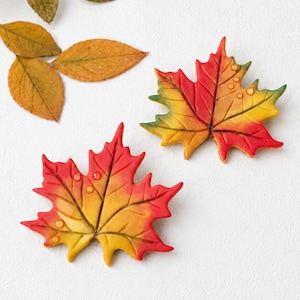 Peut inclure: Deux biscuits en forme de feuille d'érable avec un glaçage dégradé rouge, orange et jaune. La surface de chaque biscuit est détaillée avec des nervures en relief et de petites gouttes transparentes évoquant la rosée.