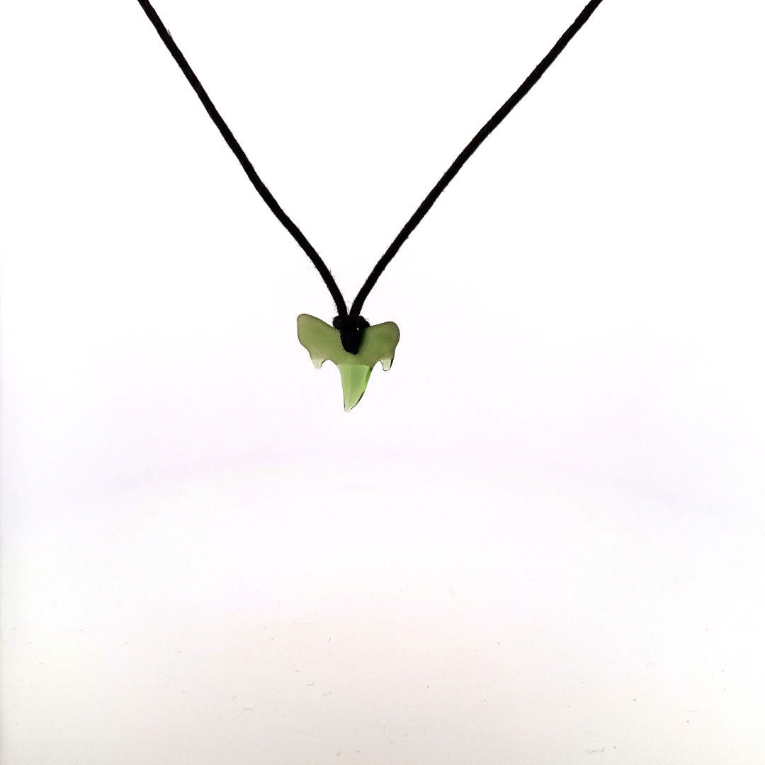 Seaglass Treasures Freestyle Shark Tooth Sharks Teeth Fossil Ocean