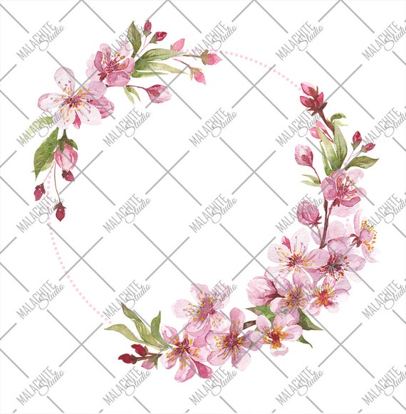 Ramki Kwiat Wiśni Akwarela Ręcznie Malowane Ramki Cyfrowe Akwarele Clipart Różowy Kwiatowy Grafika Szablon Wesele Bez Szwu